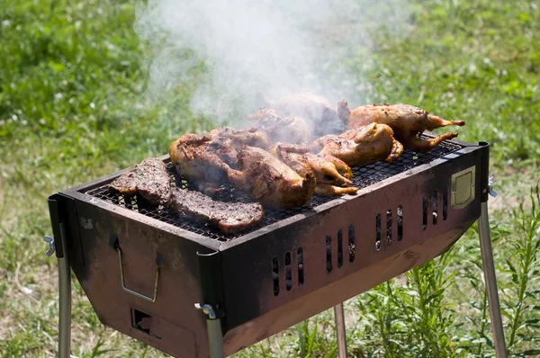 Friss szép barbecue. — Stock Fotó