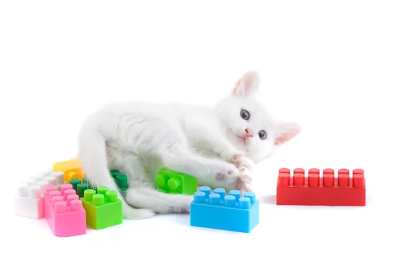 Котенок с игрушками . — стоковое фото
