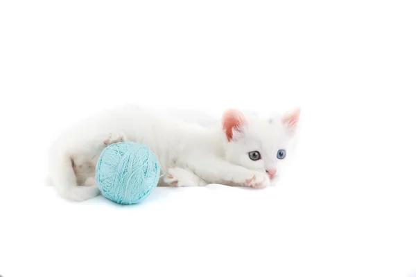 Kitten with ball of the threads. — Stock Photo, Image