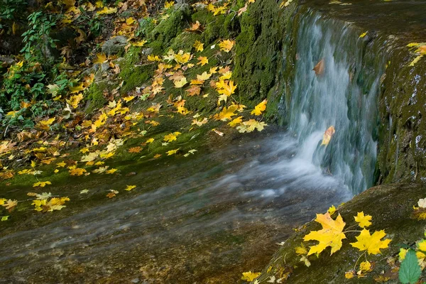 Autumn waterfall. — Stock Photo, Image