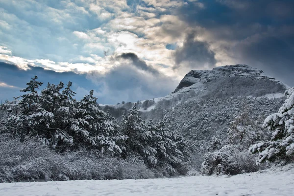 Закат Зимой Деревьями Горами — стоковое фото