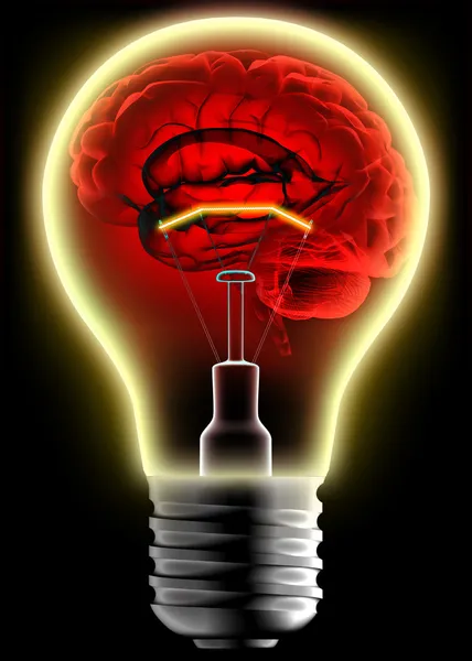 人类的大脑在灯泡 — 图库照片