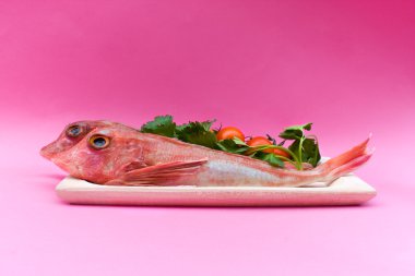 Sea Food - Red Gurnard Fish clipart