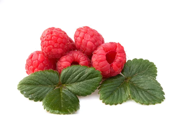 Raspberries Cutout — Stock Photo, Image