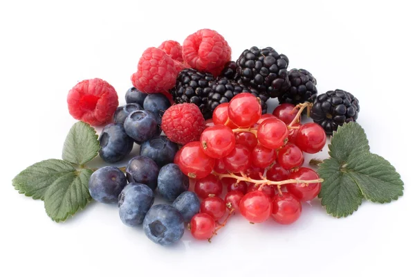 Frutas vermelhas macias — Fotografia de Stock
