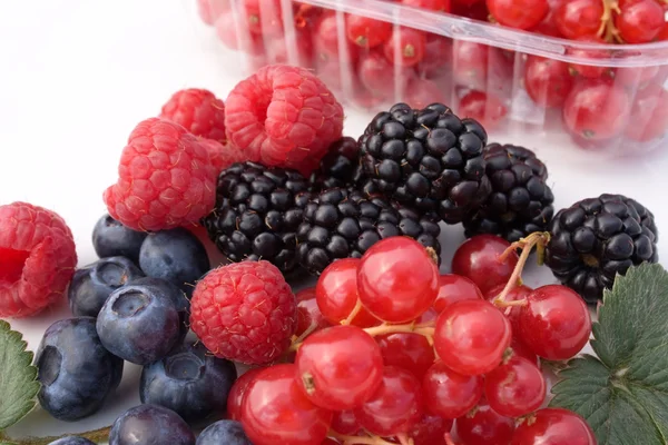 Frutti Di Bosco - Closeup — Stockfoto
