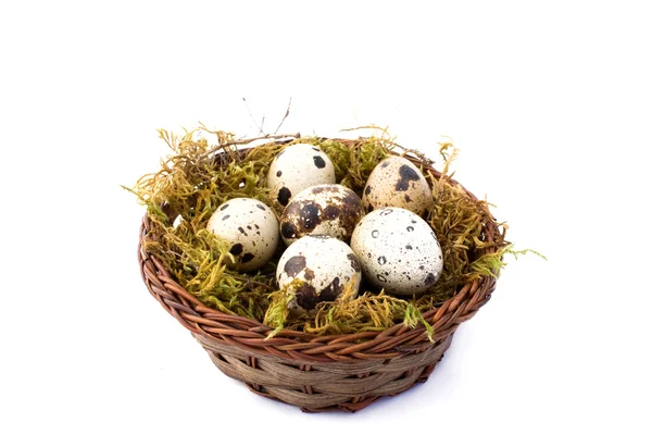 Quail Eggs — Stock Photo, Image