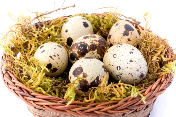 Καλάθι με αυγά ορτυκιού — Φωτογραφία Αρχείου