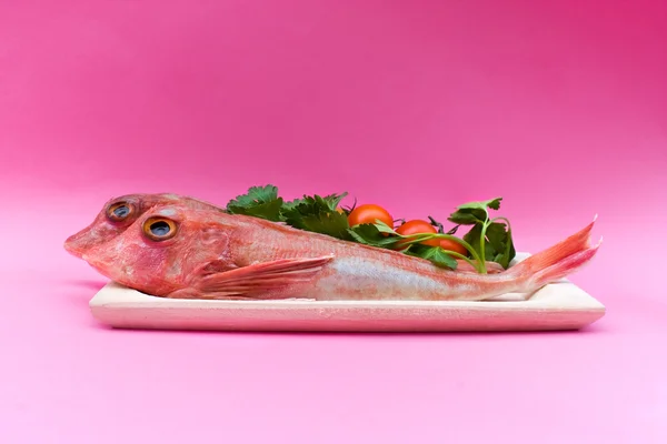 Морепродукти - рибу морський півень червоний — стокове фото