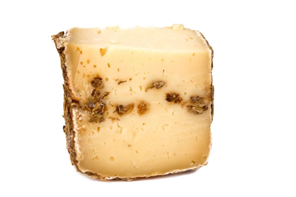 イタリアのチーズ - sbirro — ストック写真