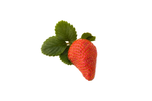 Half Strawberry Isolated — Stock Photo, Image