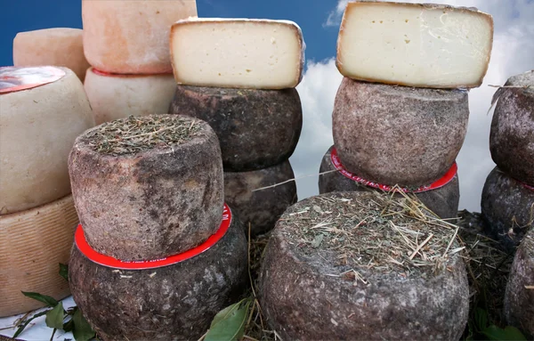 典型的なイタリアのチーズ — ストック写真
