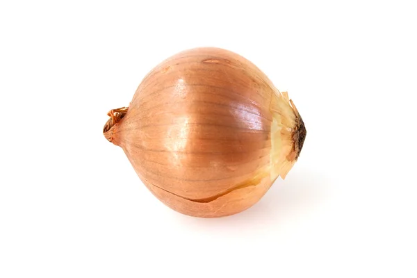 Onion Isolated — Stock Photo, Image