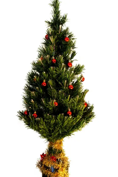 Elszigetelt karácsonyfa — Stock Fotó