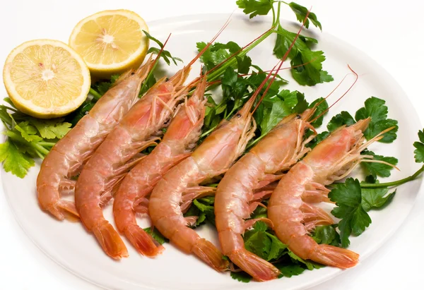 Food Appetizers Plate Raw Prawns Parsley Plate — Stock Photo, Image