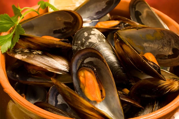 料理レシピ 最初のコース ムール貝のスープのクローズ アップ — ストック写真
