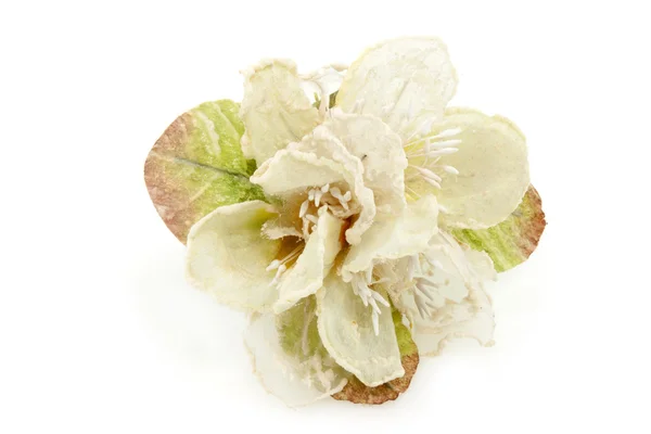 Fleur Mariage Fait Main Isolé Sur Fond Blanc — Photo