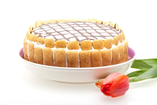 Italienischer Kuchen — Stockfoto
