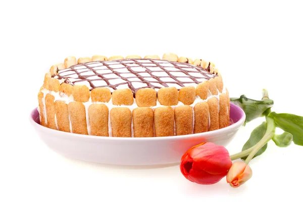 蛋糕和郁金香 — 图库照片