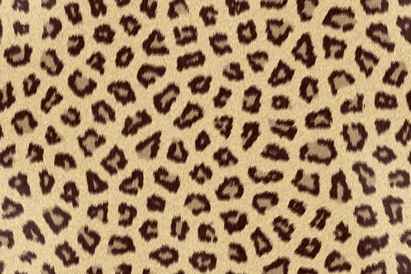 stock image Leopard Skin Texture