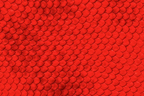 Red Skin Texture — Stock Photo, Image