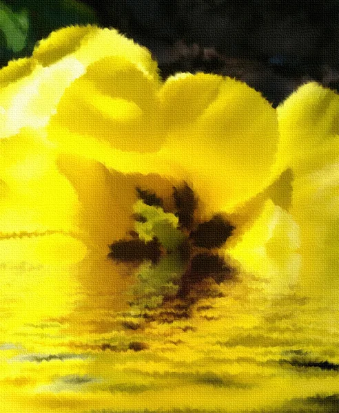 Tulpenfantasie — Stockfoto