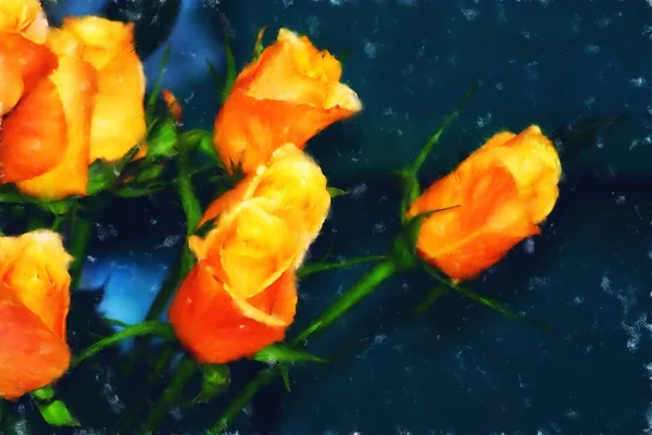 ファイン ・ アート ・ オレンジのバラ — ストック写真
