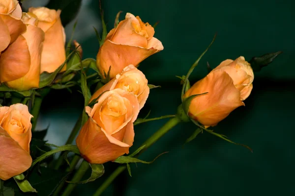 Ein Bund orangefarbener Rosen — Stockfoto