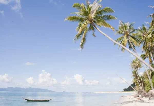 Пальма и лодка на тропическом пляже — стоковое фото