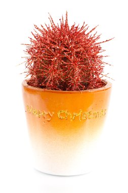 New cactus clipart