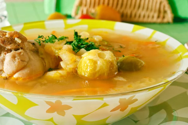 Suppe aus Rosenkohl — Stockfoto
