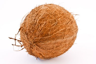 A coconut is isolated on a white background clipart