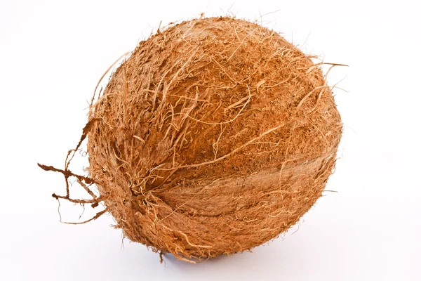 Een Kokosnoot Geïsoleerd Een Witte Achtergrond — Stockfoto