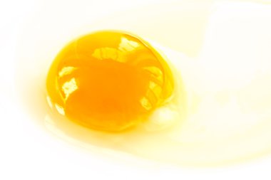 From egg yolk clipart