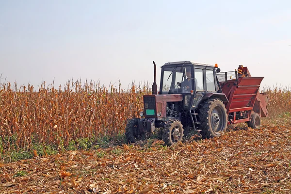 Kukorica betakarító — Stock Fotó