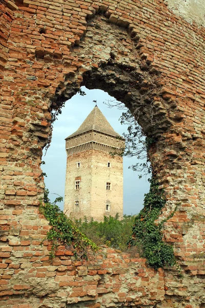 Medieval Serbian ruins — Stock Photo, Image