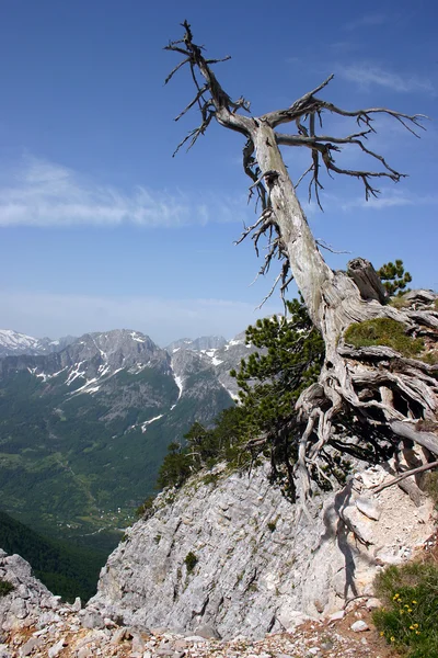 Albanische Alpen — Stockfoto