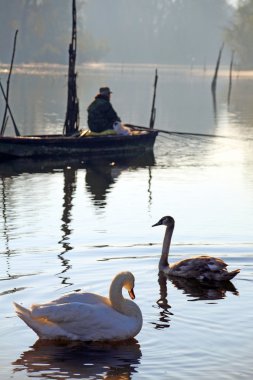 Silhouette of swans and fisherman clipart