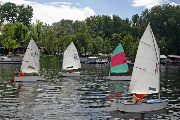 stock image Sailing boats