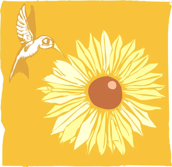 Colibri et fleur — Image vectorielle