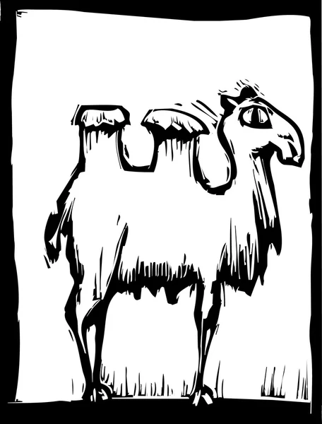 Kamel 2 — Stockvektor