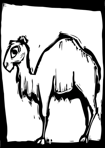 Camelo — Vetor de Stock