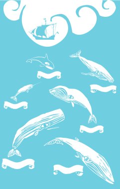 Whale Poster clipart