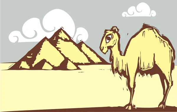 Pyramide de chameau — Image vectorielle