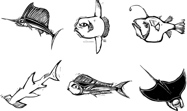 กลุ่มปลา — ภาพเวกเตอร์สต็อก