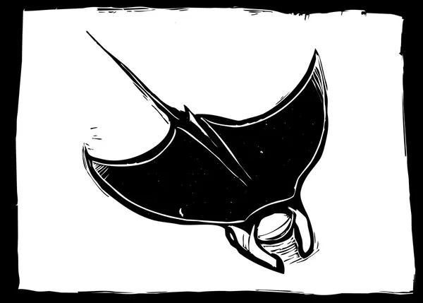 Manta ray — Stock Vector