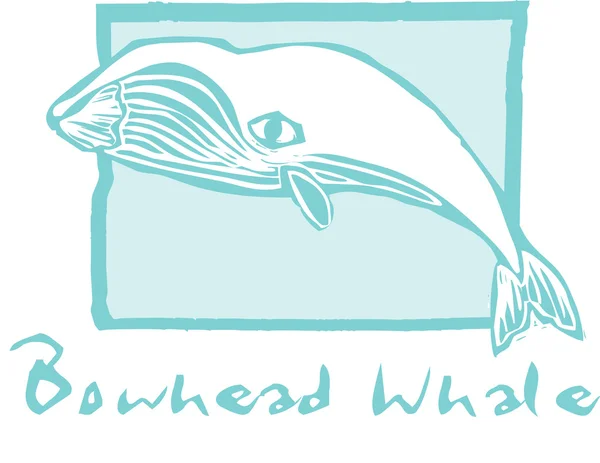 Bowhead Whale — Stock Vector
