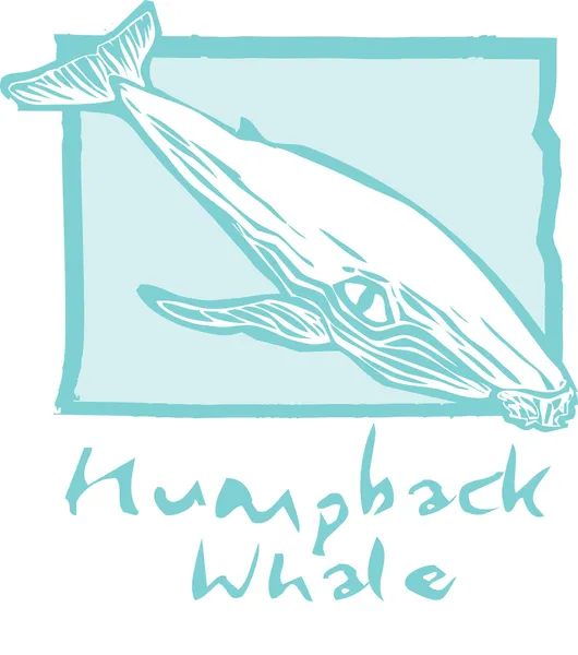 Balena megattere in blu — Vettoriale Stock