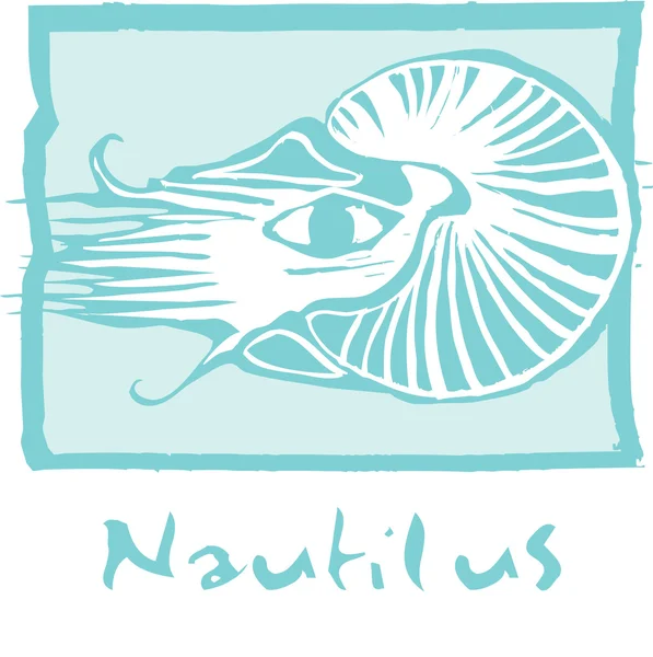 Drzeworyt Retro Obraz Wielu Nautilus Pompilius — Wektor stockowy