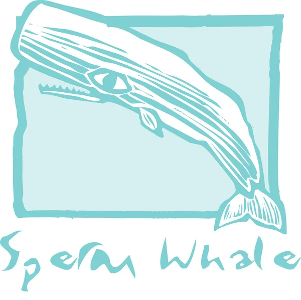 マッコウクジラの木版画ビンテージ スタイルのイメージのマッコウクジラ — ストックベクタ